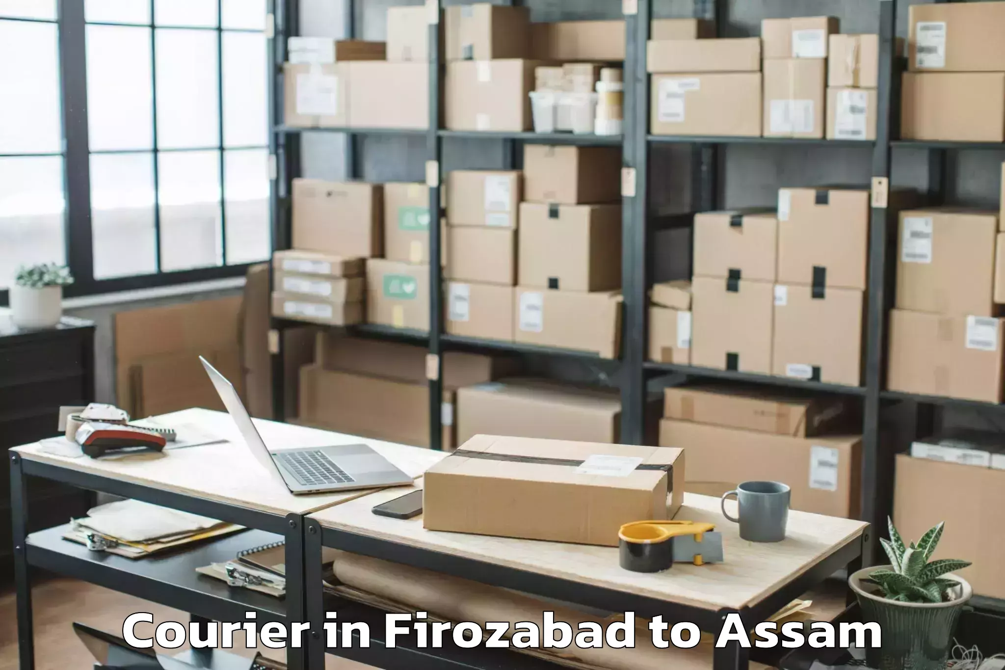 Top Firozabad to Bajali Courier Available